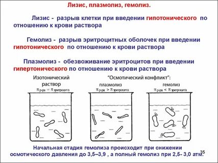 Происходящие в растворах