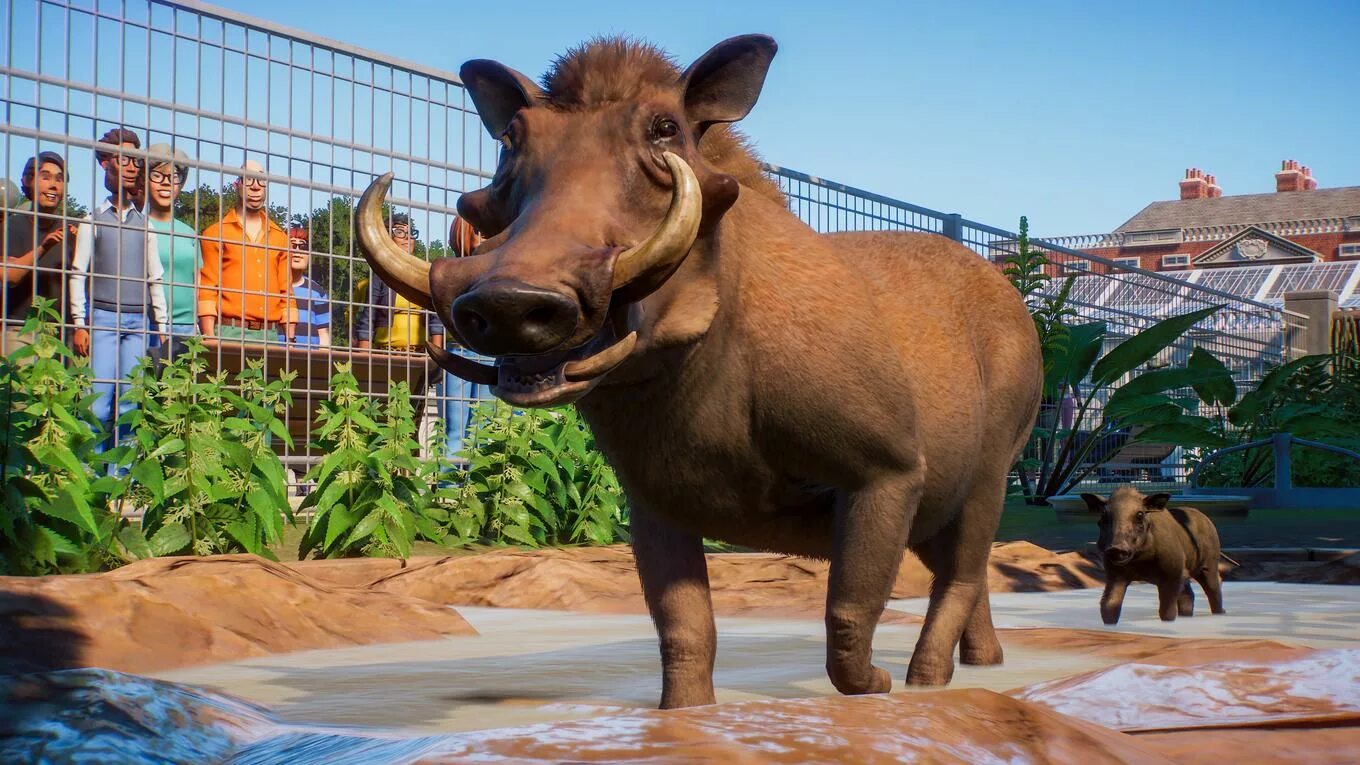 Зоопарк примеры. Планета zoo игра. планета зоопарк игра. planet zoo зоопарки. зоопарки в планет зу.