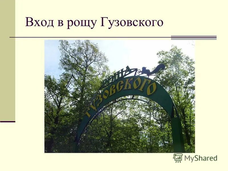 Доброе утро березовая роща с надписями. Архиерейская роща ротонда. Входишь в рощу. Березовый рай. Терренкур в сосновом лесу.