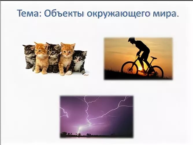 Предмет окружающий мир проект Презентация на тему: "Представления об объектах окружающего мира 7 класс.". Скач