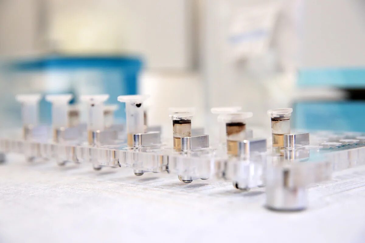 Биолог мгу. Биозавивка mossa. Биология. Биохимия фото. Биохимия.