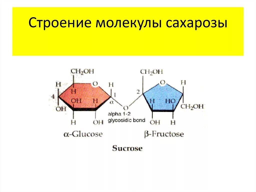 Третий экзамен сахарозы. Строение сахарозы формула. Сахароза структур формула. Строение сахарозы структурная формула. Структурная формула молекулы сахарозы.