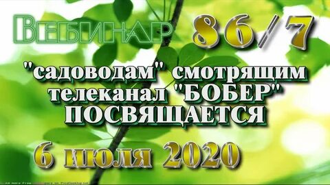 86 ч 5