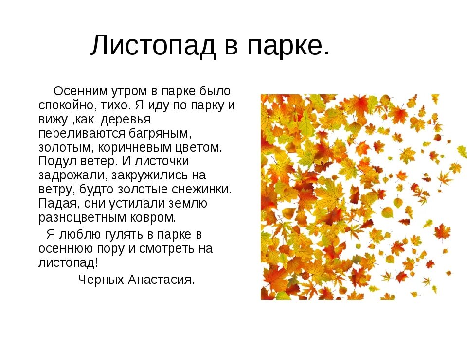 Текст про а4. Рассказ про листья 3 класс. Рассказ про листопад. Сочинение листопад. Сочинение на тему осень.