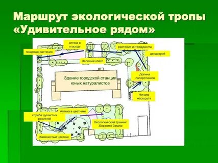 Маршрут экологической тропы