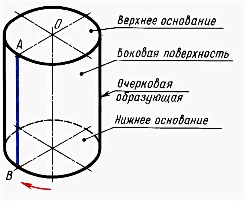 Сколько образующих можно провести. Очерковые образующие цилиндра. Нижнее основание цилиндра. Очерковые образующие. Очерковая образующая.