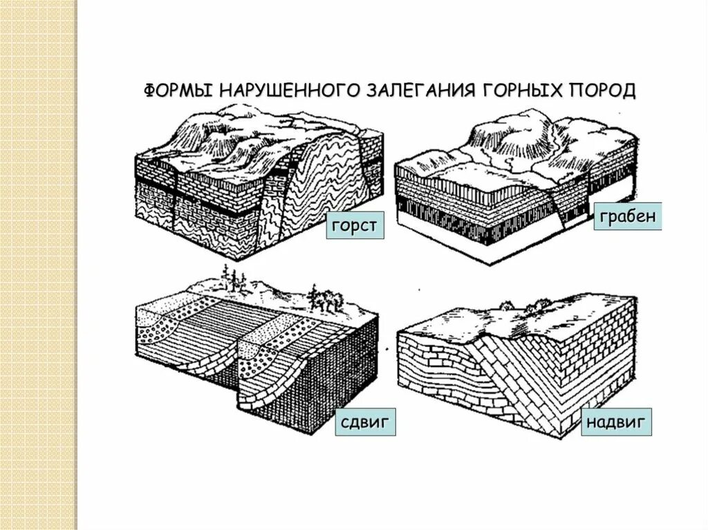 Форма залегания породы. Грабен Горст сдвиг надвиг. Формы нарушенного залегания горных пород. Разрывные нарушения залегания горных пород. Формы залегания горных пород Геология.