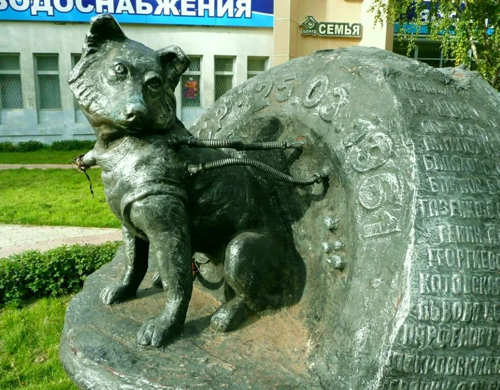 Памятник собаке космонавту в Ижевске. Памятник звездочке в Ижевске. Собачка Звездочка памятник Ижевск. Памятник собаке-космонавту звёздочке. Собака звездочка в космосе