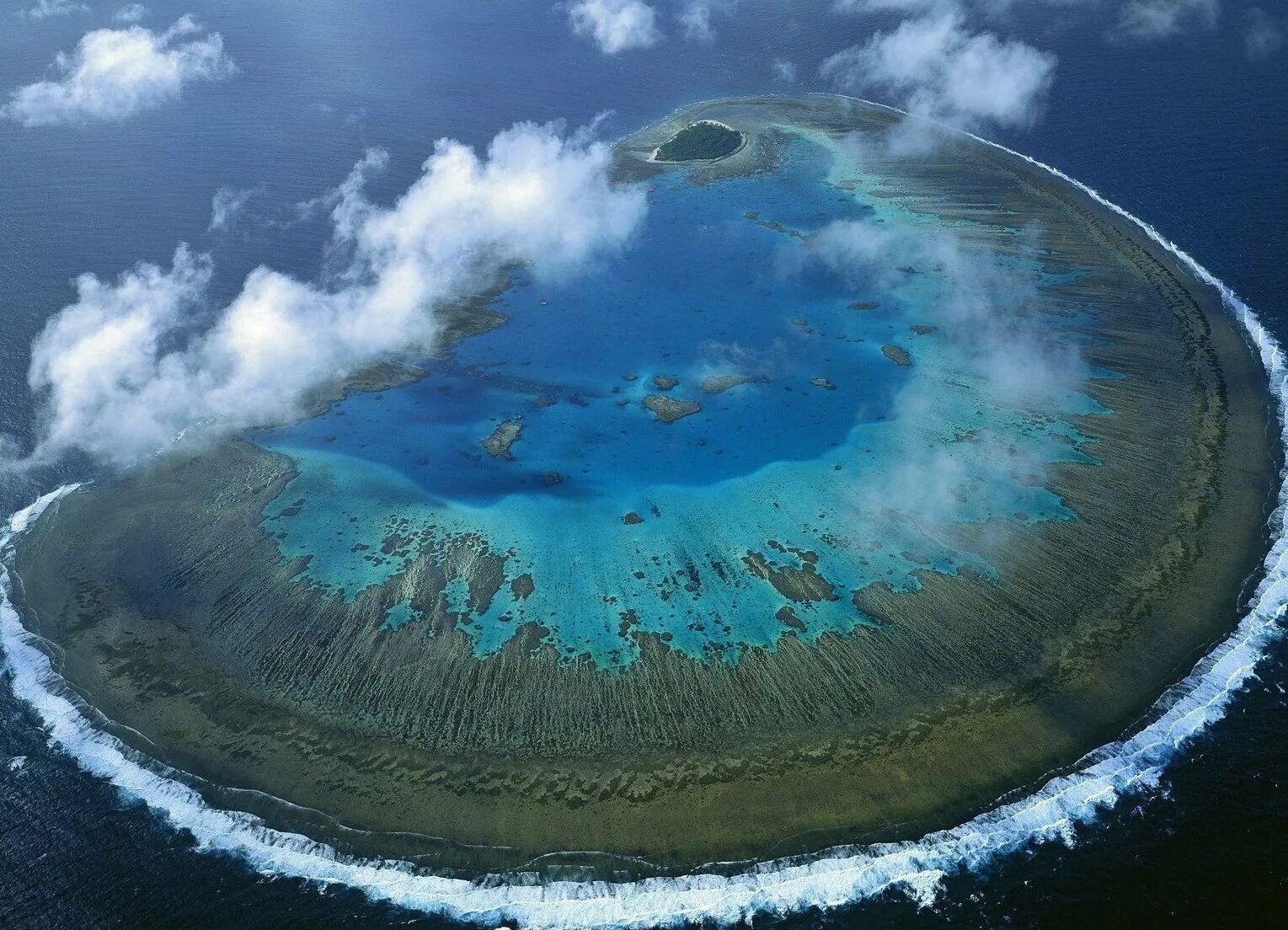 Тихий океан самые крупные острова. Большой Барьерный риф Австралия. Коралловый остров леди Масгрэйв Австралия. Острова большого барьерного рифа. Атолл коралловый остров.