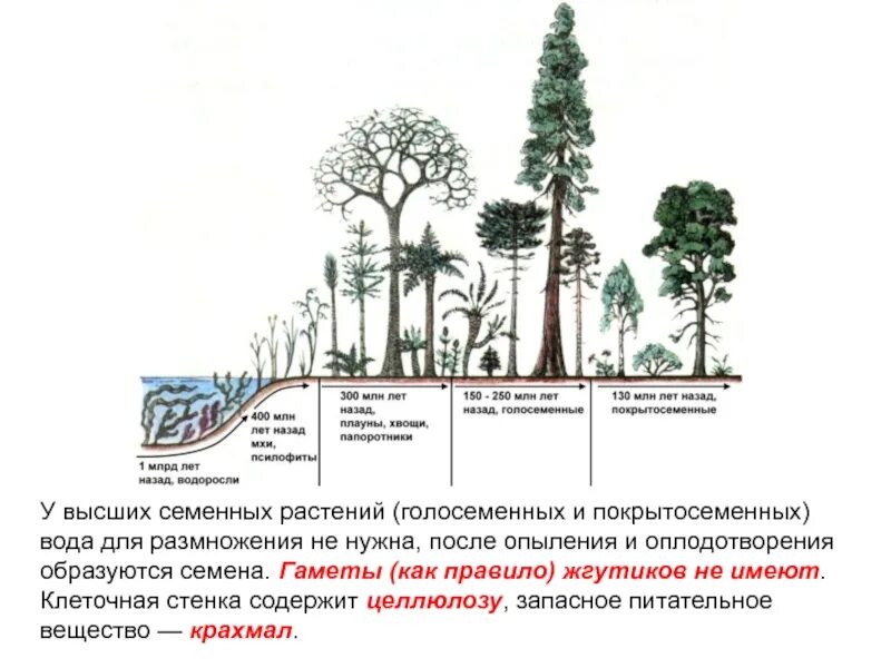 Какое изменение не ароморфозу