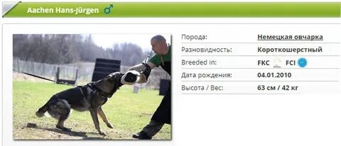 Сколько весит немецкая