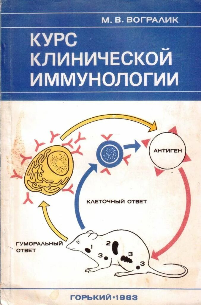 Иммунологические проблемы. Иммунология рисунок. Th2 это иммунология. Илм иммунология. Городская иммунология.
