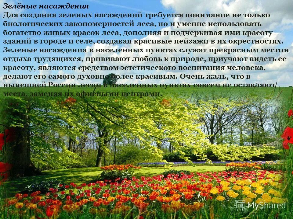 Дата создания зеленых. Гражданская война в россии 1917-1922 белые и красные цели. Дата создания зеленых. Основные противоборствующие силы таблица. Красные белые зеленые интервенты таблица.