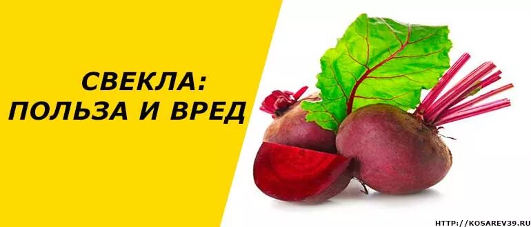 Свежая свекла польза. Свекла. Что полезного в свекле. Свекла польза. Чем полезна свекла.