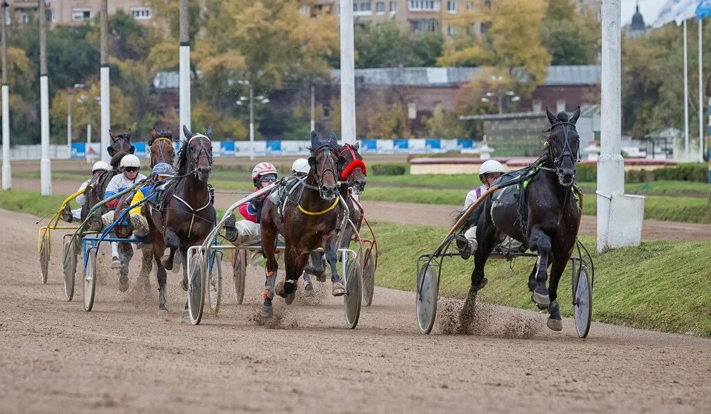 Автокросс пятигорск ипподром. Московский скаковой ипподром. Ипподром махачкала скачки. Ипподром «гольфстрим парк» (майами). Ипподром махачкала.
