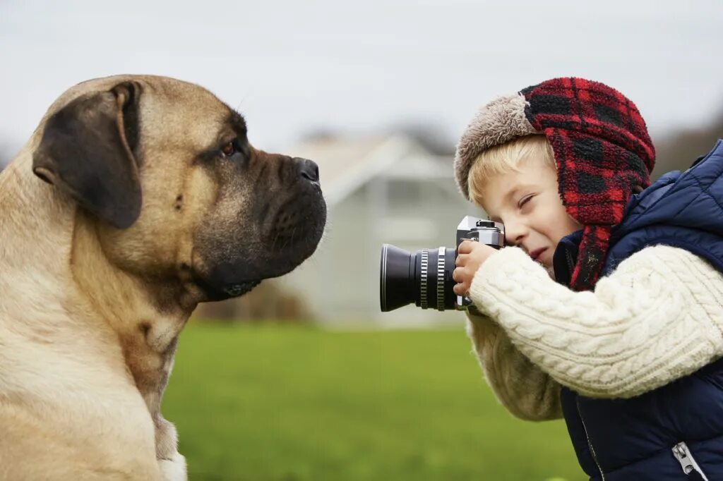 Фотоконкурс собак. Конкурс фотографий собак. Собака фотографирует. Фотоконкурс домашних питомцев. Take your pet