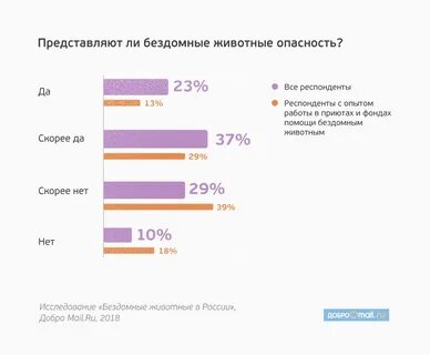 Статистика бездомных животных