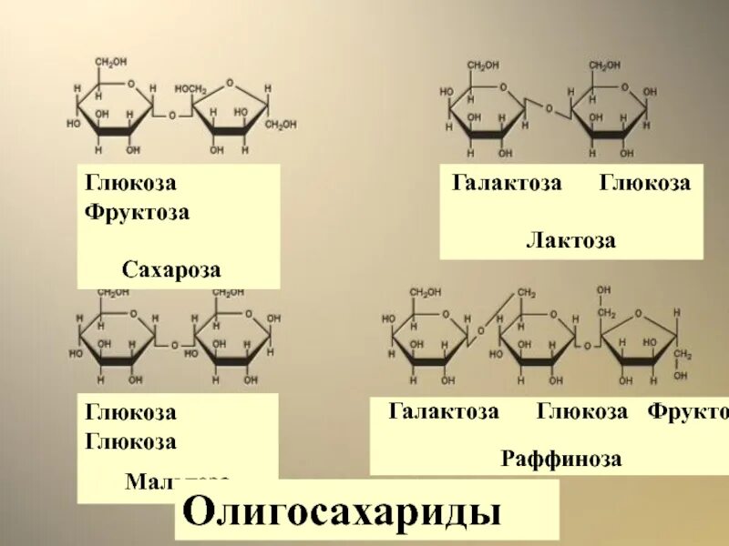 Глюкоза мальтоза галактоза. Сахароза фруктоза Глюкоза лактоза мальтоза. Сахароза фруктоза лактоза формулы. Мальтоза это олигосахарид.