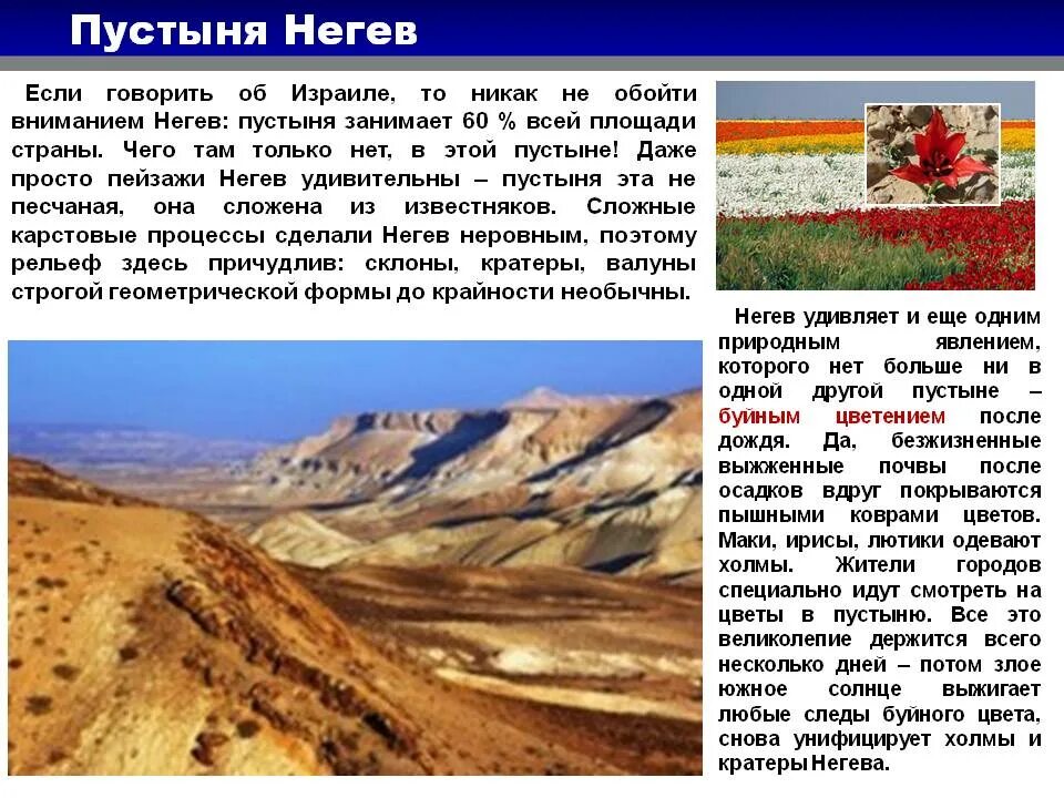 Пустыня негев на карте. Пустыня Негев на карте Израиля. Где находится пустыня Негев. Пустыни Израиля на карте.