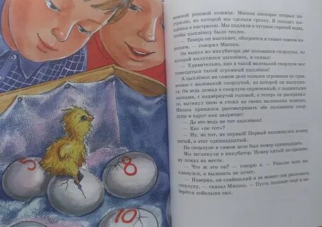 Читательский дневник веселая семейка