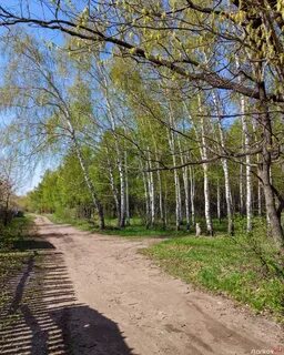 Апрель поляны