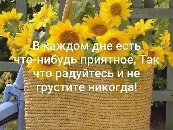 Каждый день не может быть хорошим. День сделай что-нибудь приятное. Доброе утро будьте здоровы радуйтесь каждому Дню. Радоваться каждому Дню. День скажи что-нибудь приятное 1 июня картинки.