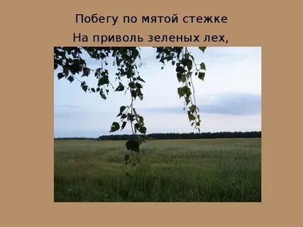 На приволь зеленых лех