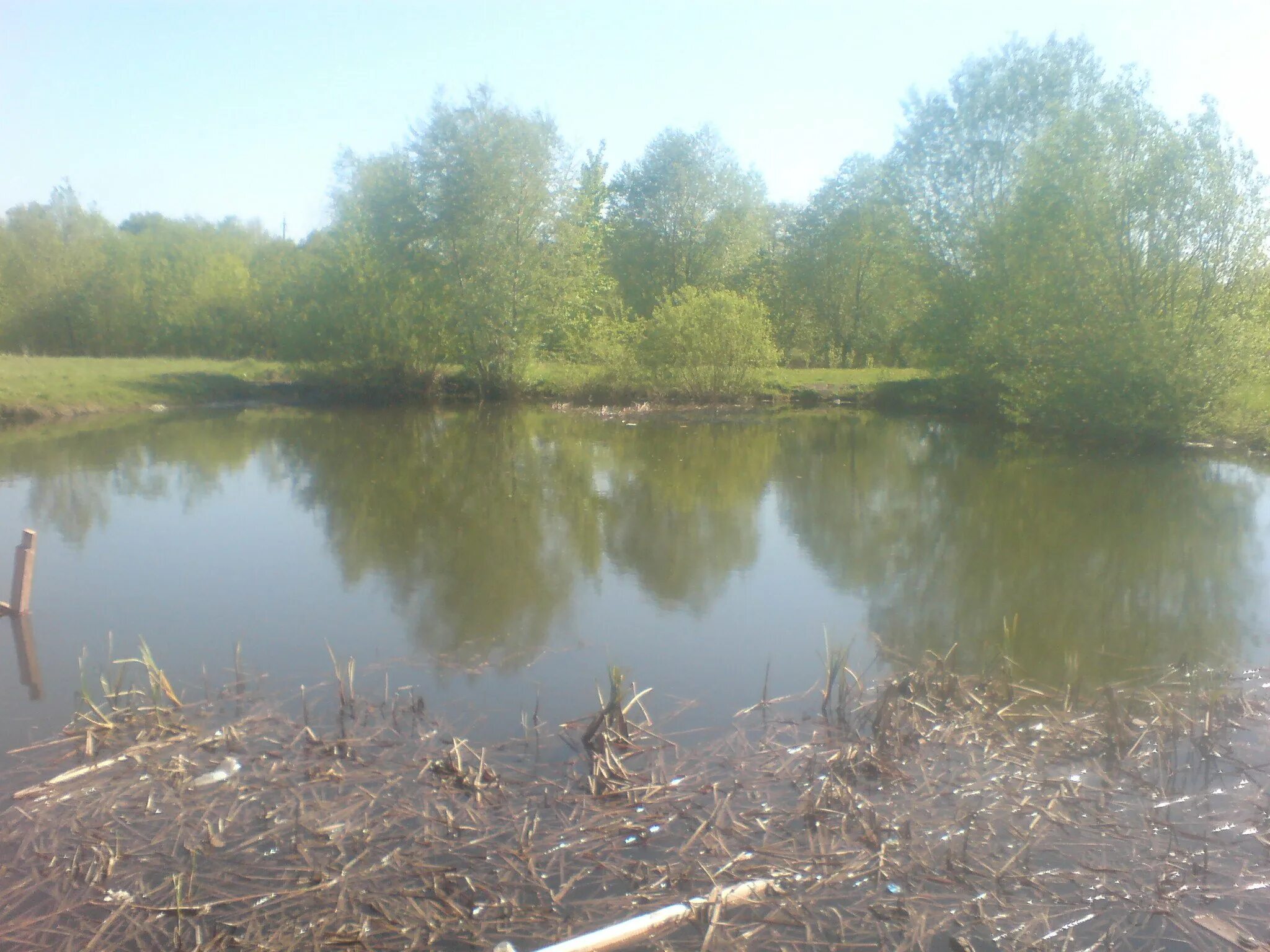 Максимовский пруд каменка. Пруд панда тамбовская область. Алексеевский пруд тамбовская область. Пруд изовка тамбовская. Пруд тамбов.