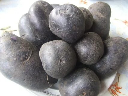Черный картофель