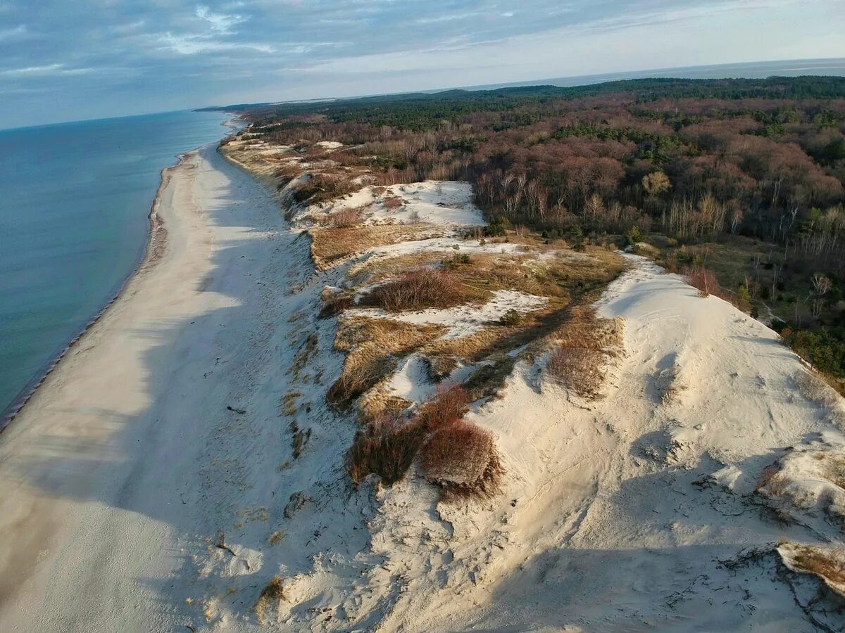 Куршская коса Калининградская область. Зеленоградск Куршская коса. Зеленоградск экскурсии на Куршскую косу. Калининград - Янтарный - Светлогорск - Куршская коса.