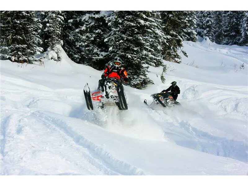 снегоход. аренда снегохода пермь. снегоход тикси 250 люкс. вирус snow. прокат снегоходов.