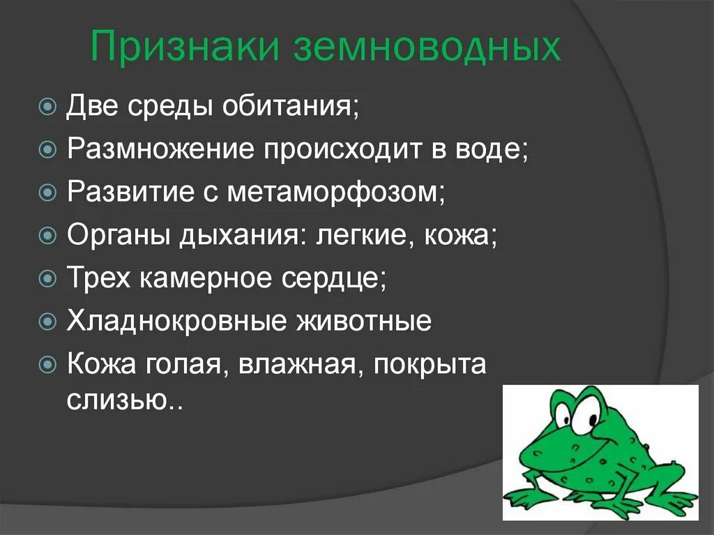 Главные особенности земноводных. Земноводные характерные признаки. Признаки класса земноводных. Признаки класса амфибии. Общие черты земноводных.