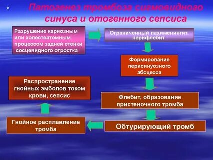 Механизмы развития образования