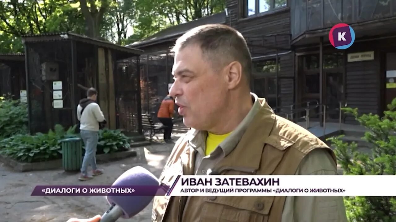 Лесник янтарная лихорадка 2. Лесник янтарная лихорадка 2. 10. Лесник янтарная лихорадка 2. 10.