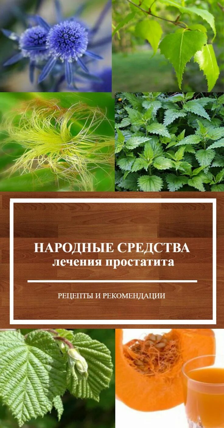 Способы лечения простатита. Народные средства. Народныесредствоотпростатита. Простатит народные средства. Наодныесредства от простатита.