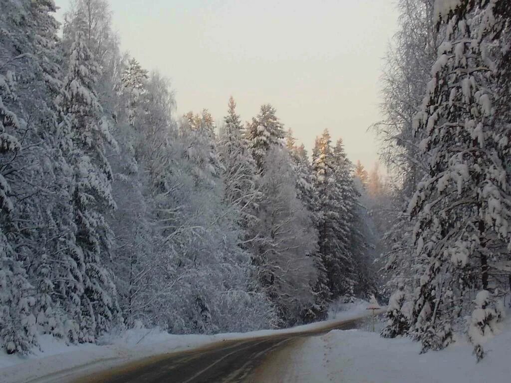 Валдай зимой. Картинка Валдайский парка зимой. Валдай зима фото. Картинка поворот Валдай зимний. Не всегда зима на валдае холодная