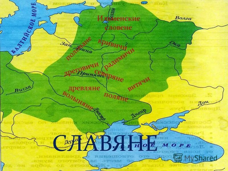 Славяне древляне кривичи поляне. Славянские наряды. Восточные славяне кривичи вятичи. Поляне племя восточных славян. Славянские народы.