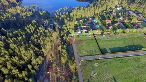 Прогноз петровское ленинградская область