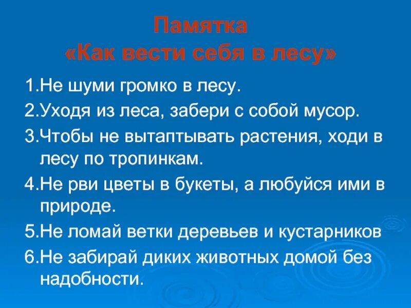 Рассказ как вести себя в лесу. Как вести себя в лесу. Памятка как вести себя в лесу. Памятка как нужно вести себя в лесу. Памятка как надо вести себя в лесу.