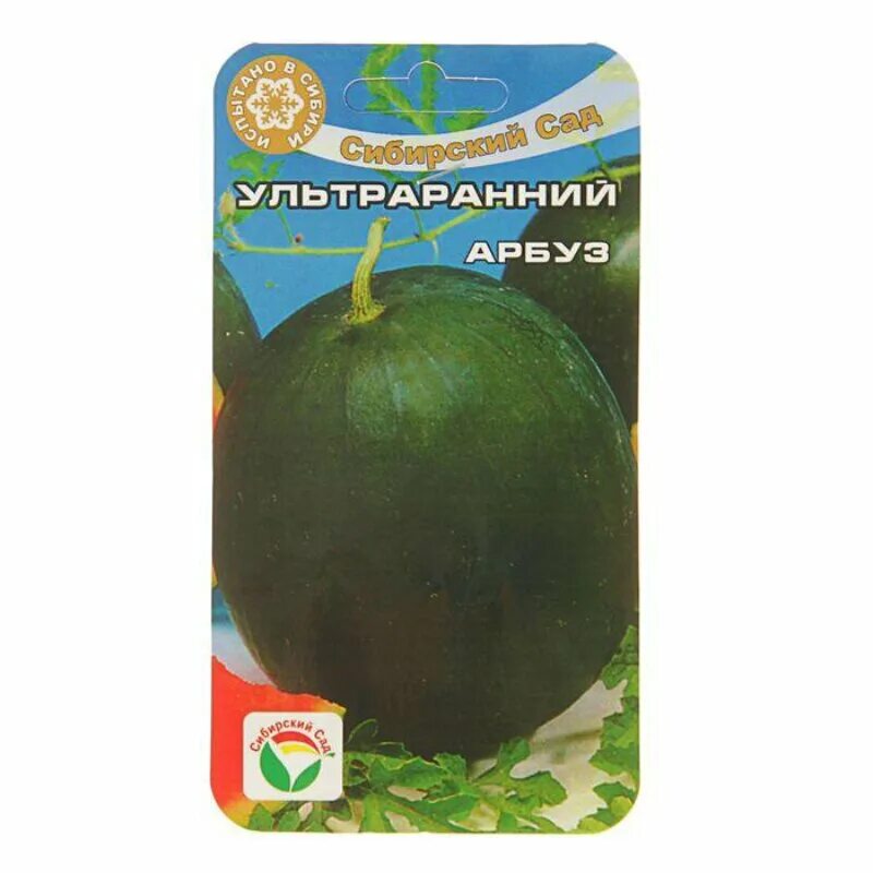 семена арбуз ультраранний. семена сибирский сад арбуз ультраранний. ультраранний сорт арбуза. арбуз ультраранний кольчуга. сорт арбуза фрондер.