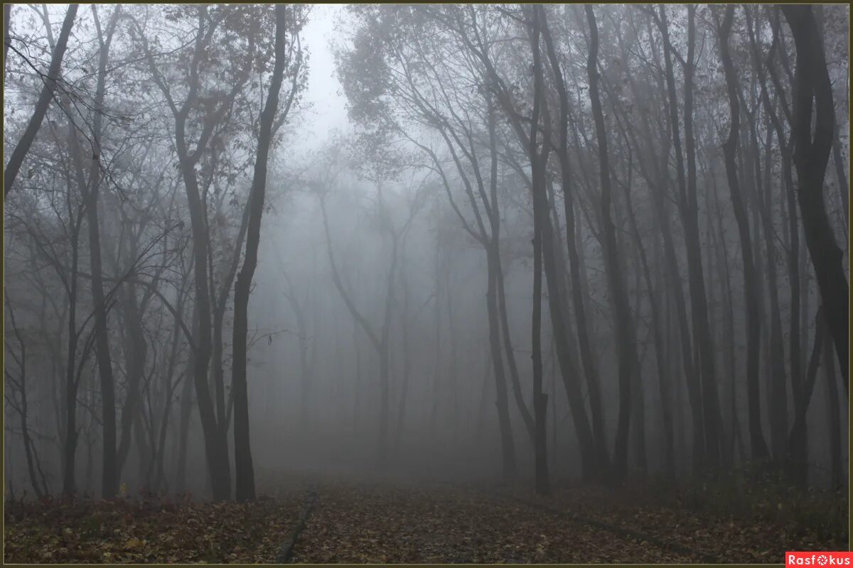 Лондон туман биг бен. Foggy картинка для детей. Foggy flashcard. Туман для детей. Туман на английском.