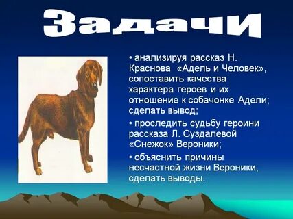 Создание характеров героев животных в рассказах писателей