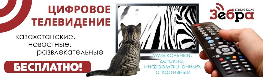 зебра орск кабельное телевидение телефон. световая вывеска кафе. зебра зоомагазин. магазин зебра. зебра орск кабельное телевидение телефон.