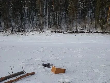 Погода ручей иркутская область усть кутский