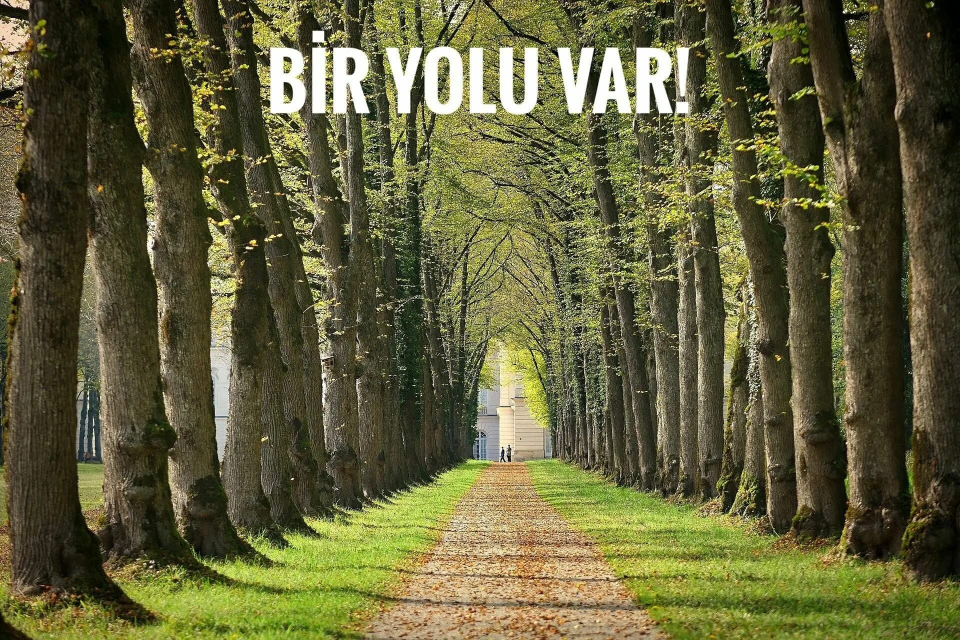 Шенбрунн парк осенью. Аллея гарибальди аллея. Park alley. Электроугли. Нью-йорк парк дорожки.