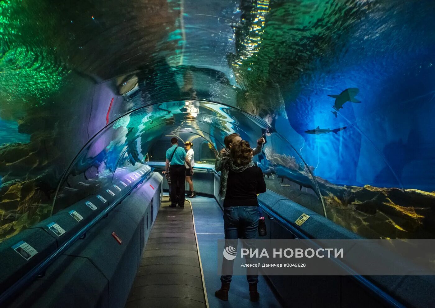 Океанариум москва. Океанариум санкт-петербург внутри. Трк планета нептун в санкт-петербурге океанариум. Океанариум спб видео. Океанариум нептун в санкт-петербурге.
