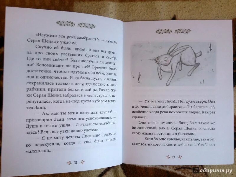 У серой шейки замерло сердце. Серая шейка обложка книги. Отзыв серая шейка 3 класс чтение.