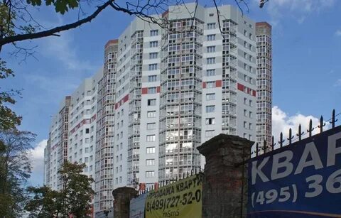 Кучино леоновское шоссе