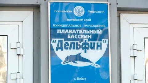 Дельфин бийск