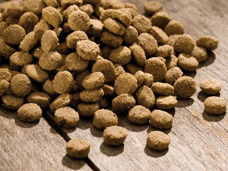 корм для собак. Pet products. корма для животных pedi. корм для животных оптом. корм для животных оптом.